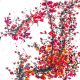 Π ΠΈΡΡΠ½ΠΊΠΈ Π΄Π»Ρ ΡΡΠΈΡΠΎΠ²ΠΊΠΈ ΠΠΈΡΠ°ΠΉ (20 ΡΠΎΡΠΎ)