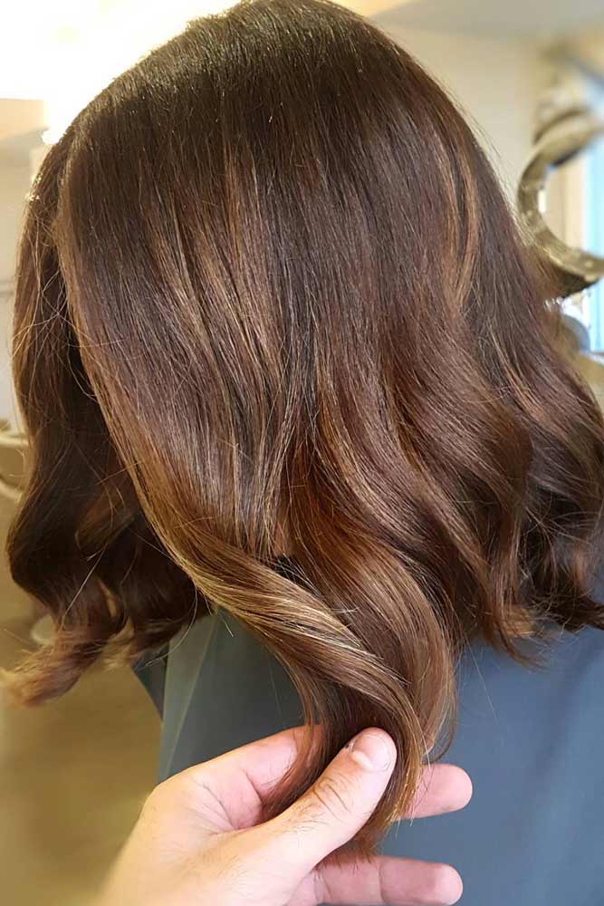 Natural Brown with Blonde Highlights